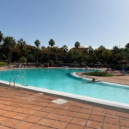 Oasis Bahia 아파트