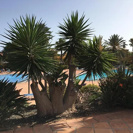 Oasis Bahia Apartman *